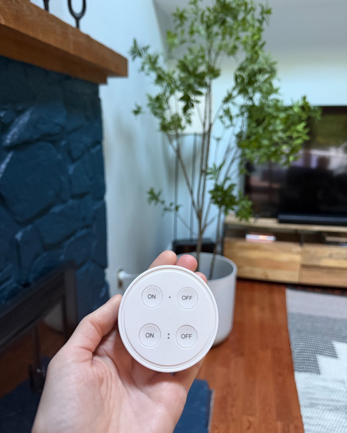 Remote control outlet plug