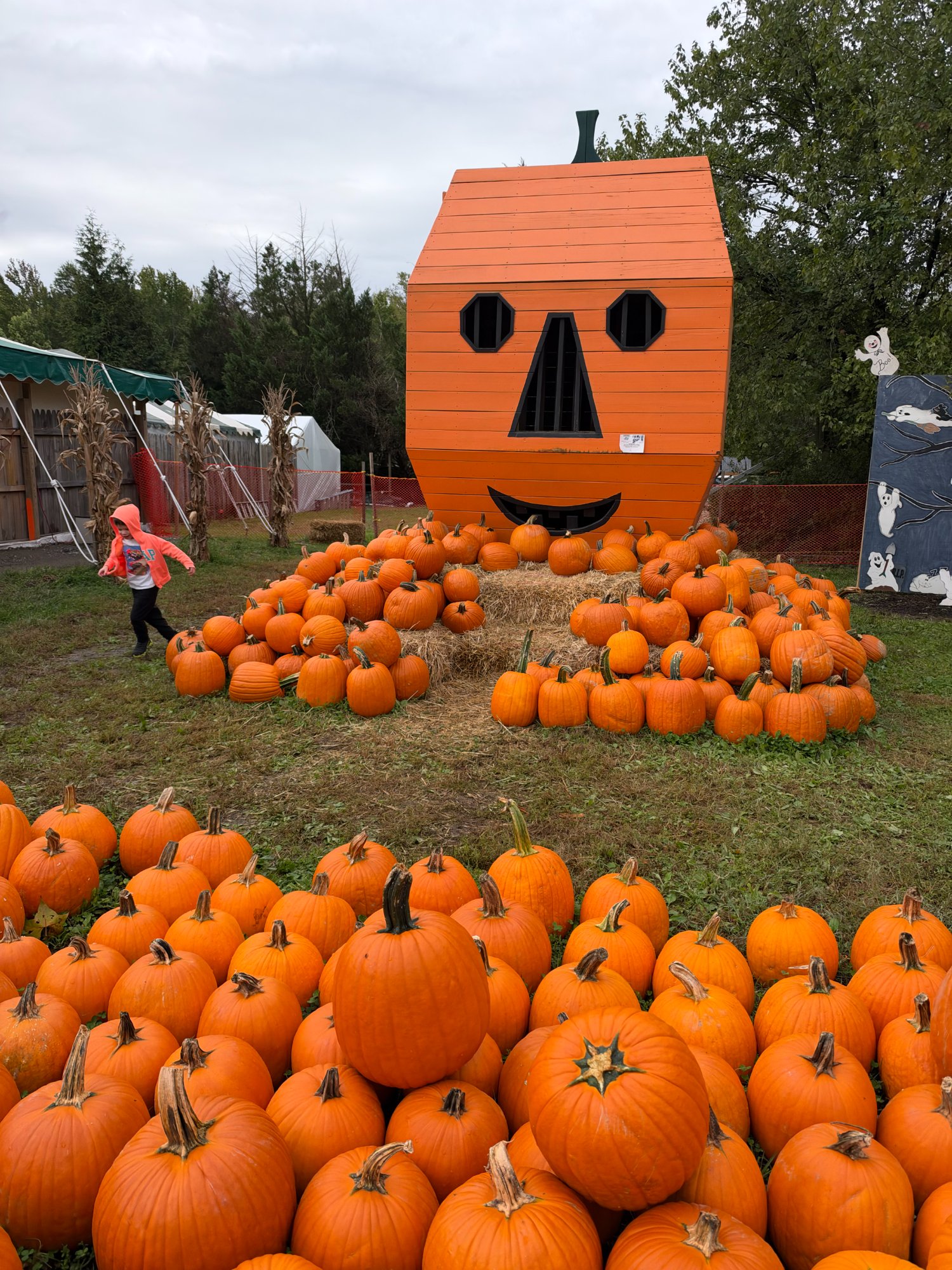 30 Pumpkin Carving ChatGPT Prompts